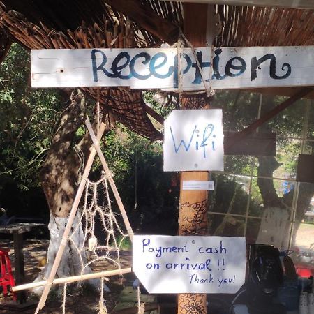 Gjipe Eco Campground Vuno Dış mekan fotoğraf