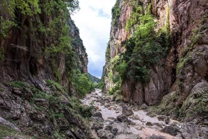 Gjipe Eco Campground Vuno Dış mekan fotoğraf