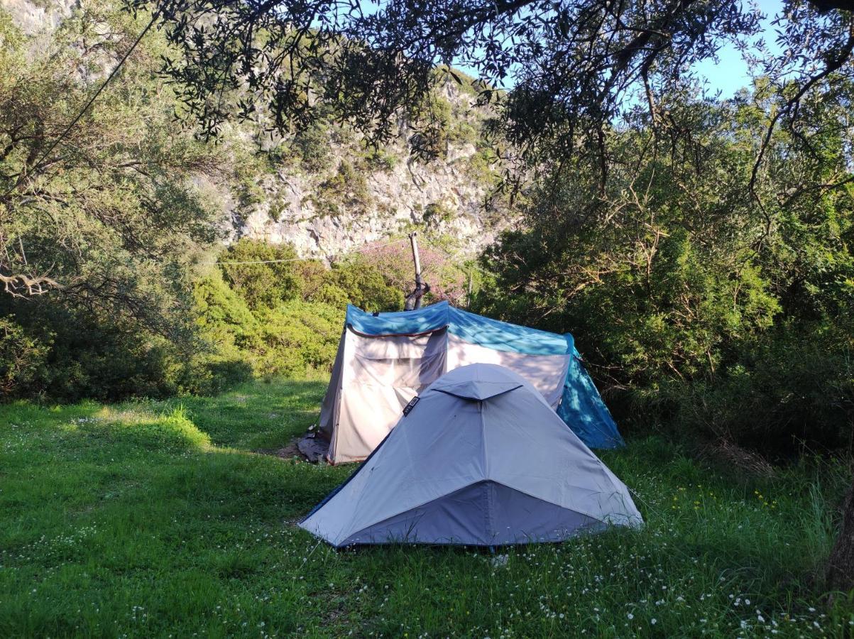 Gjipe Eco Campground Vuno Dış mekan fotoğraf
