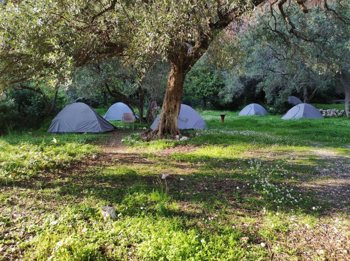Gjipe Eco Campground Vuno Dış mekan fotoğraf